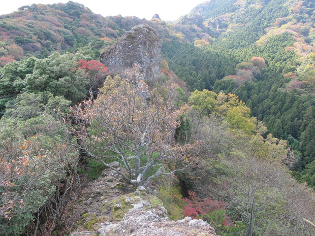 a0166196_15211033.jpg