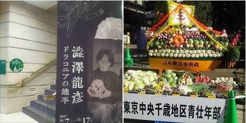澁澤龍彦　ドラコニアの地平_c0092197_12592876.jpg
