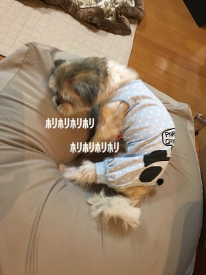 f0372998_20175630.jpg