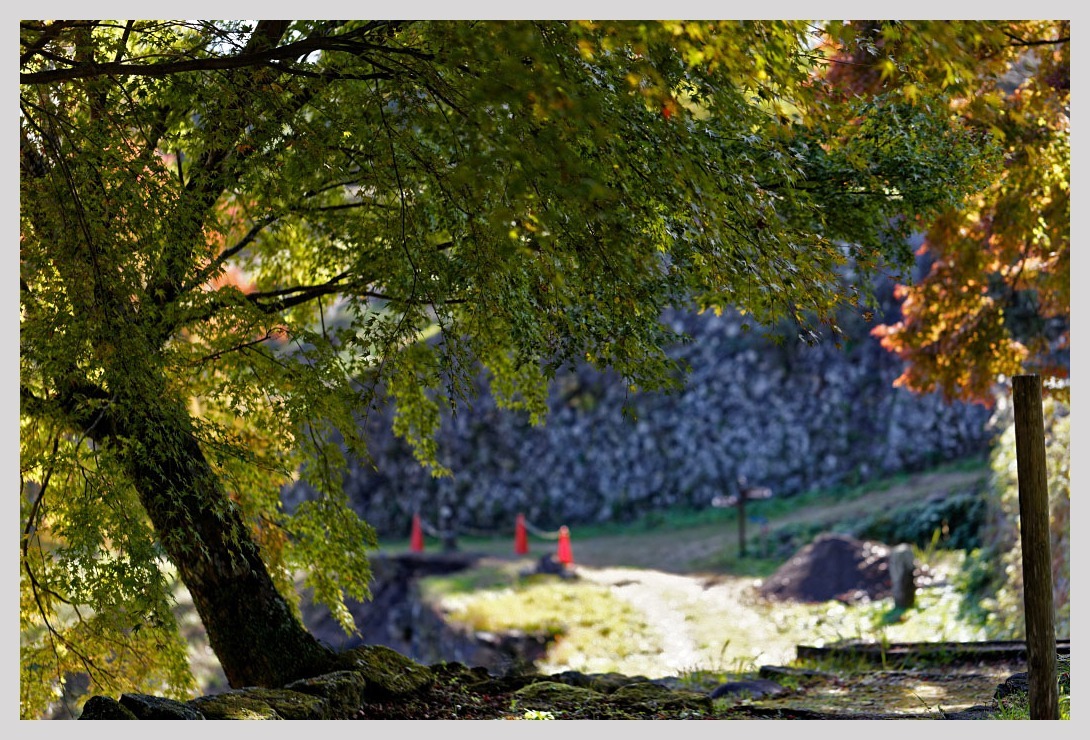 大分・岡城跡の紅葉_c0129599_22141030.jpg