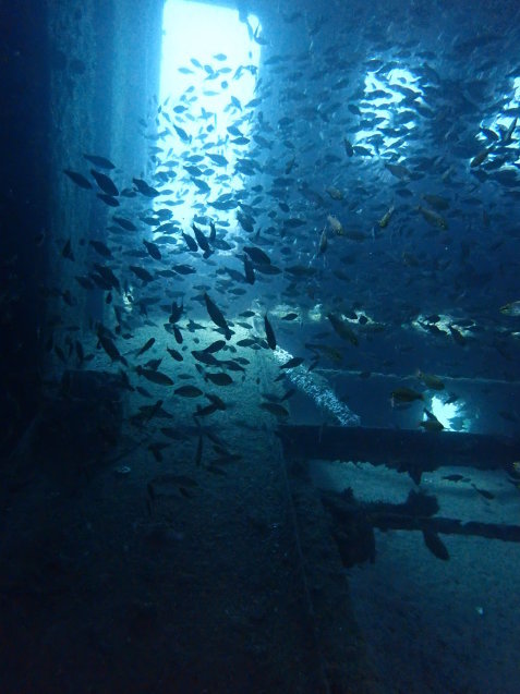 e0115199_13152216.jpg