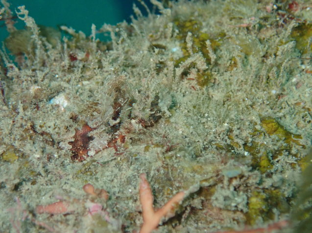 e0115199_13154898.jpg