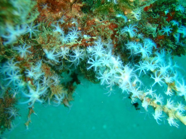 e0115199_13263872.jpg