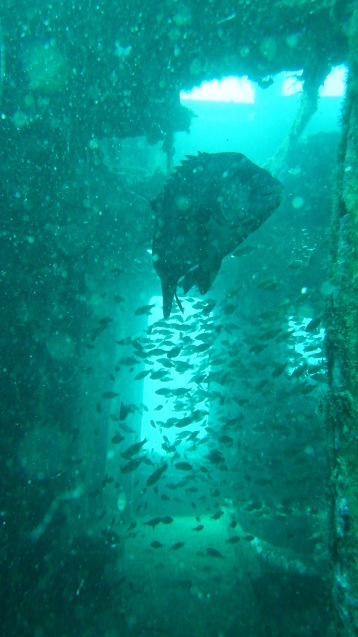 e0115199_13352923.jpg