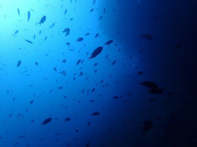 e0115199_14413794.jpg