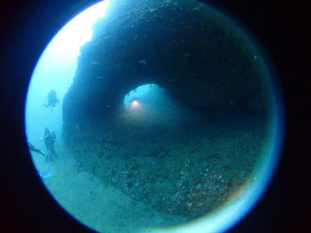 e0115199_17031784.jpg