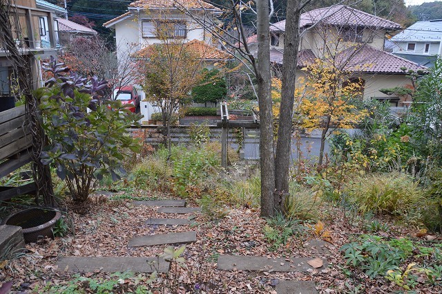 気温がぐっと下がった…11月18日の庭。_c0124100_22333063.jpg