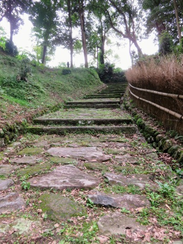 a0057402_18514810.jpg