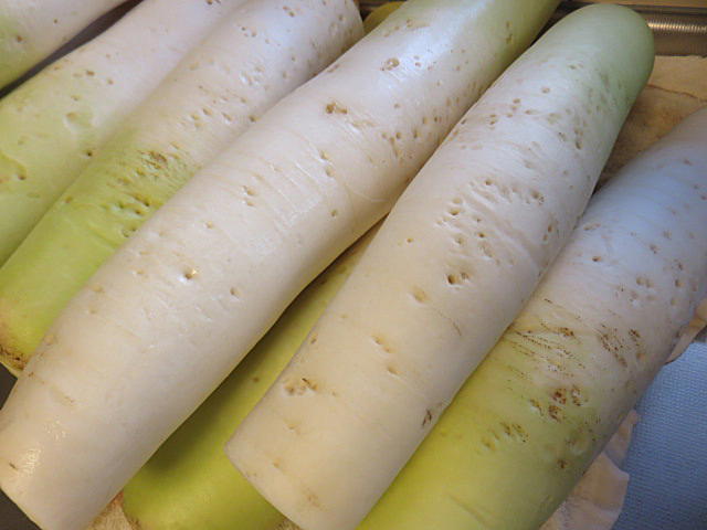 d0046702_16211004.jpg