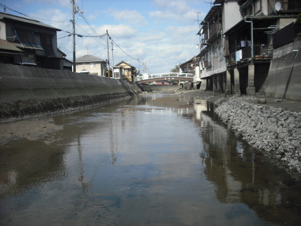 いつもの川へ (2)_d0359503_20483983.jpg