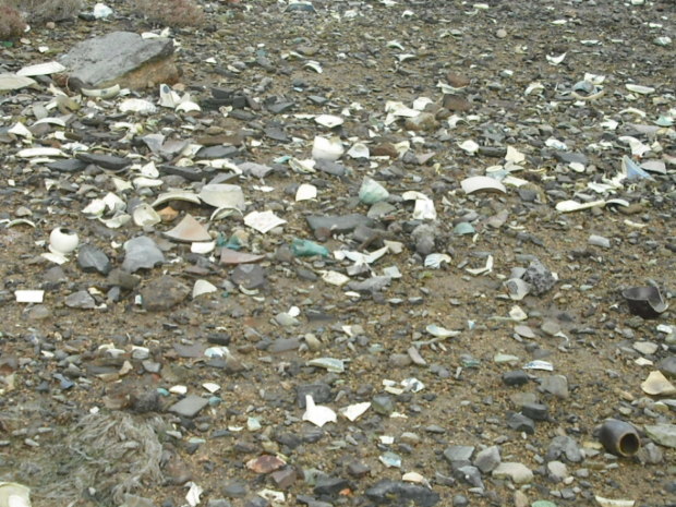 d0359503_20492092.jpg