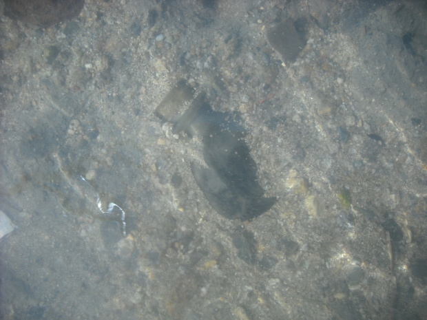 d0359503_20522676.jpg
