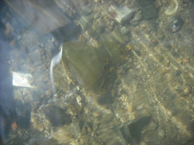 d0359503_20525632.jpg