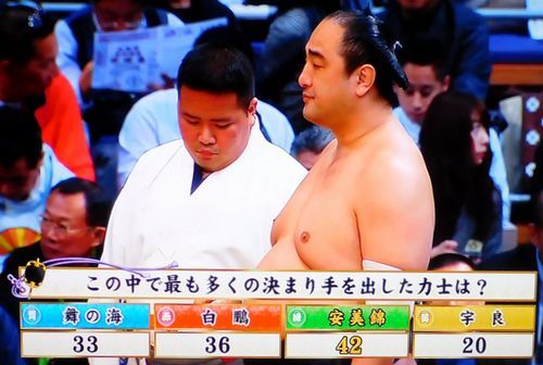 安美錦　九州場所　七日目_b0044404_21051717.jpg
