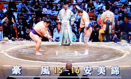 安美錦　九州場所　七日目_b0044404_21091326.jpg