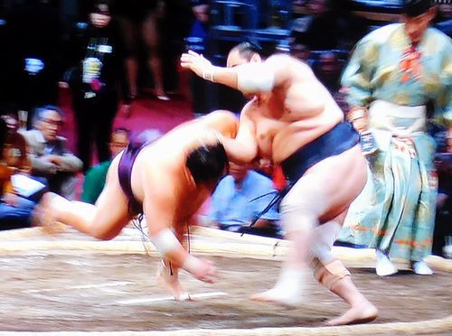安美錦　九州場所　七日目_b0044404_21164460.jpg