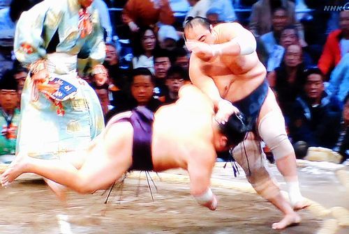 安美錦　九州場所　七日目_b0044404_21172765.jpg