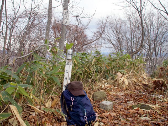 2017年11月16日(木) 硬石山(標高371三等三角点、標高397m最高点)_a0345007_12591911.jpg