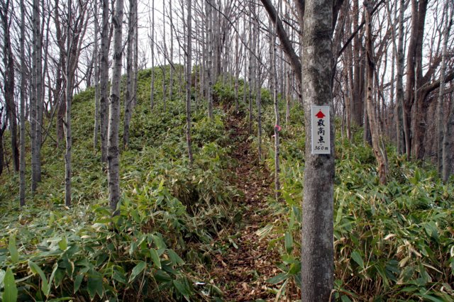 2017年11月16日(木) 硬石山(標高371三等三角点、標高397m最高点)_a0345007_12595086.jpg