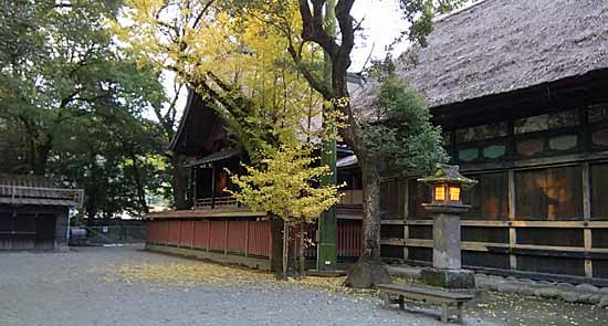 c0009413_20582496.jpg