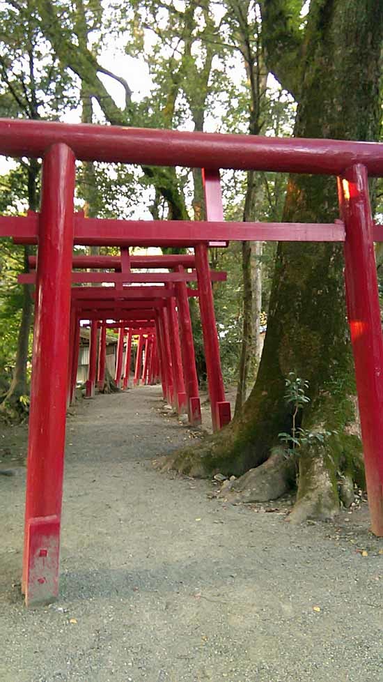 c0009413_20584827.jpg