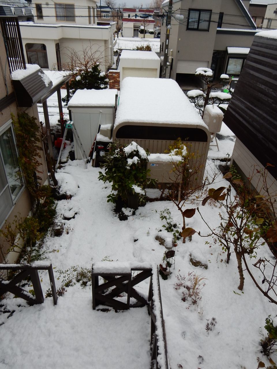 初の本格的積雪_c0025115_20440774.jpg