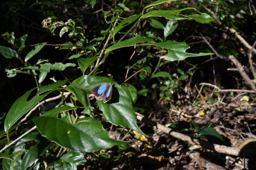 d0332816_23592851.jpg
