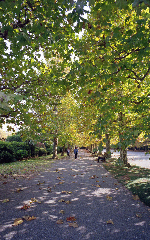 d0339617_19155432.jpg