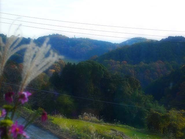 d0295818_23145407.jpg