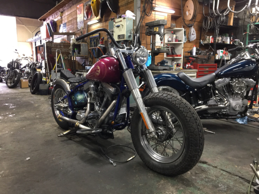 SOFTAIL CUSTOM ！！_a0110720_14563978.jpg