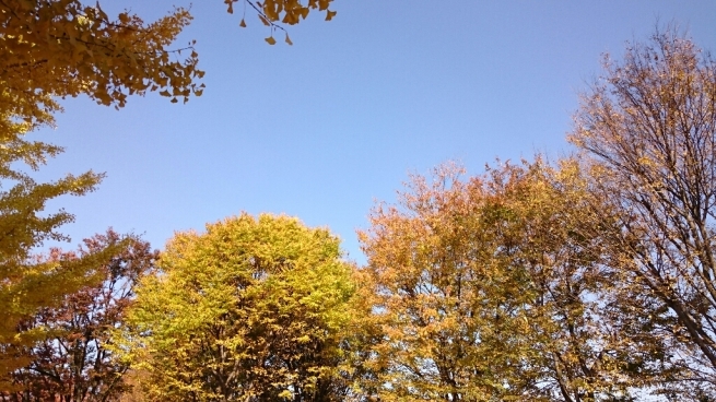 b0251624_11332546.jpg