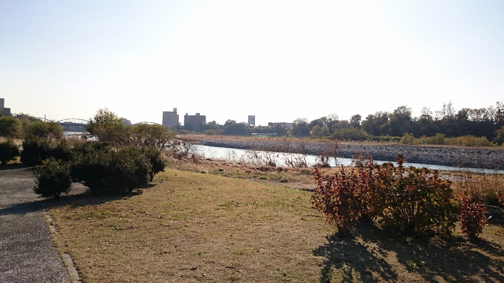 b0251624_11333092.jpg