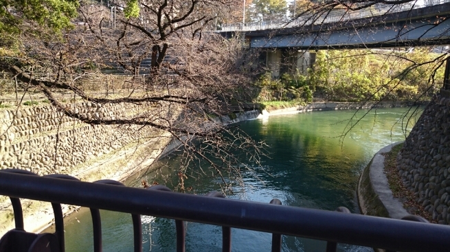 b0251624_11333200.jpg