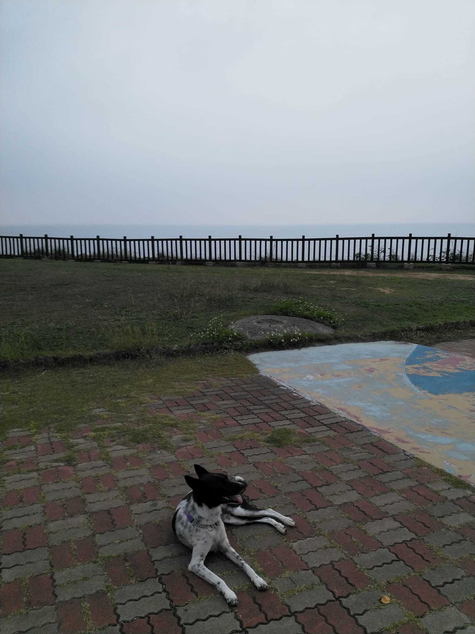 f0057324_14095640.jpg