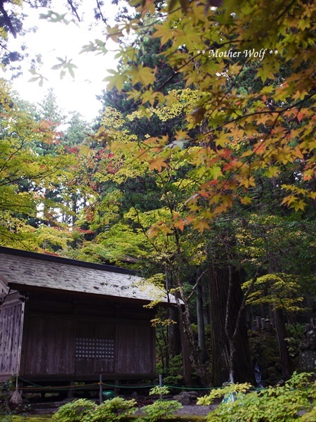 f0289824_14164269.jpg