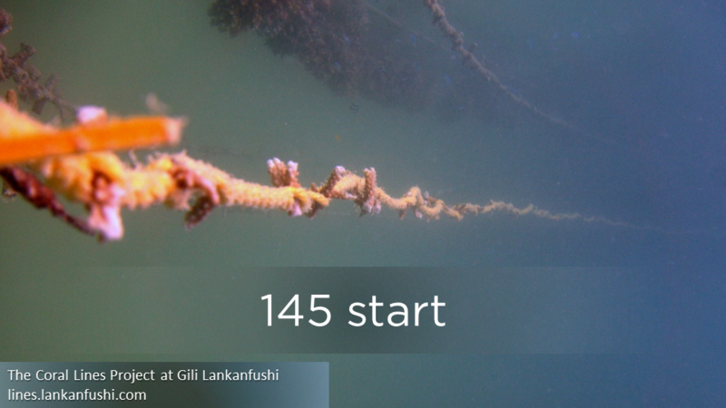 a0349326_18324574.png