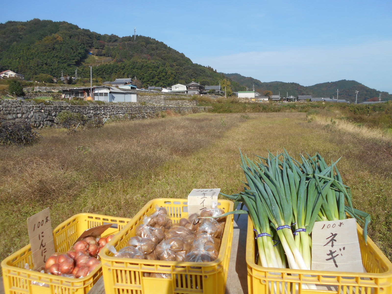 西山興隆寺_c0342428_19400129.jpg