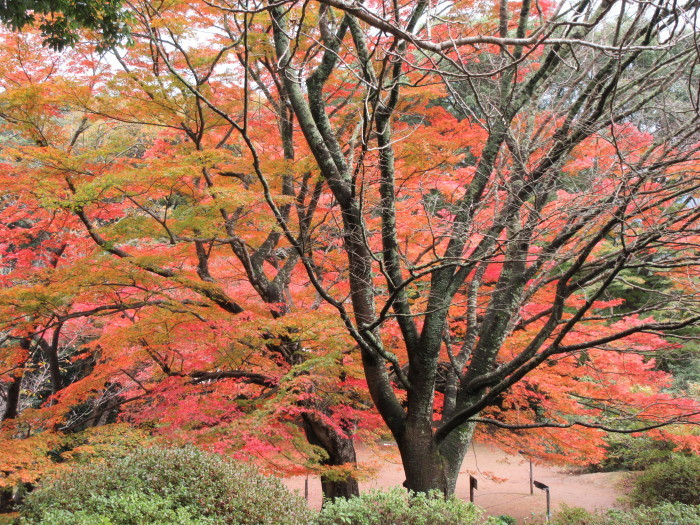 b0014732_19001667.jpg