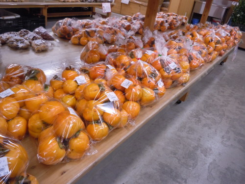 f0227432_10064558.jpg