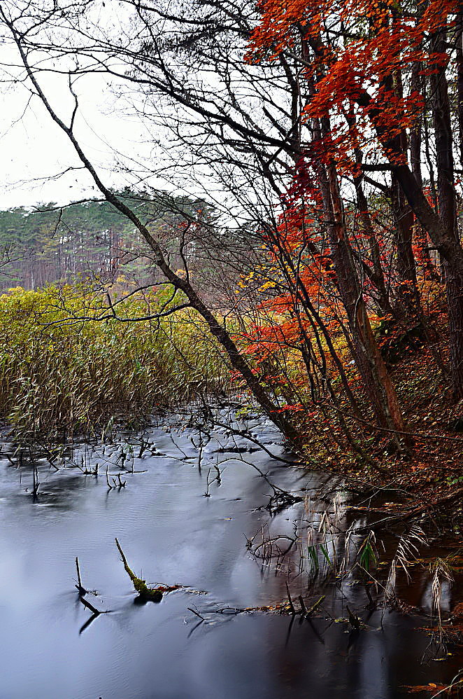a0287533_16403947.jpg