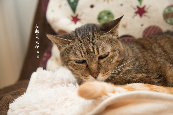 大人気ソファ _d0355333_21590887.jpg