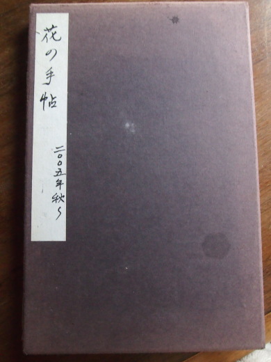 南ポルトガルの花の手帳・・・12年前の手紙・・・_f0152733_10553113.jpg