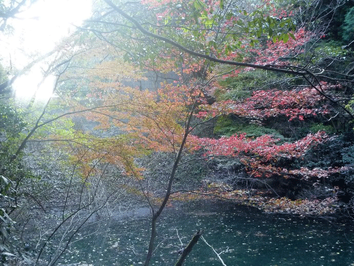 e0371039_9101786.gif