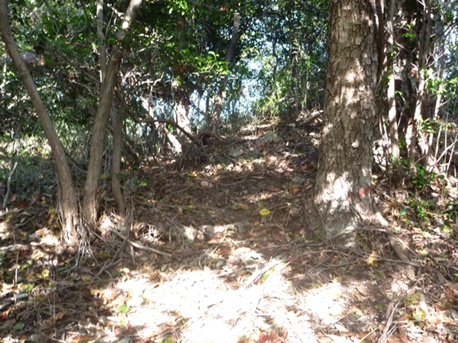 e0371039_994353.gif