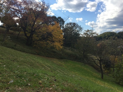 b0330040_19224478.jpeg