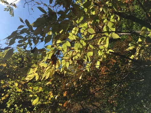 b0330040_23022062.jpeg