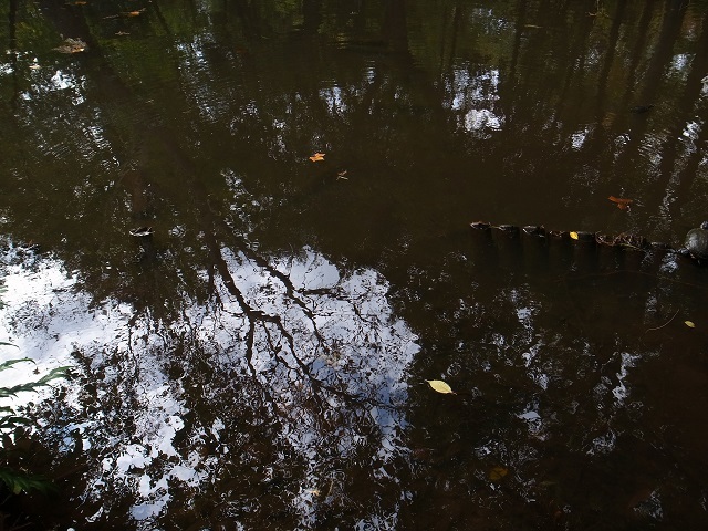 a0087341_09002718.jpg