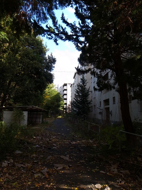 a0087341_09003124.jpg