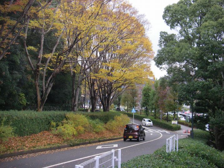 e0060041_19513641.jpg