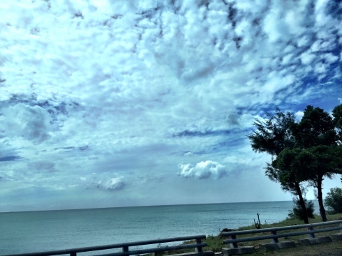 a0170045_01544124.jpeg